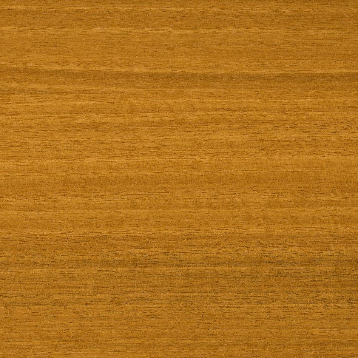 Feast Watson Matt Look Decking Oil 250ml Water Based Natural Finish