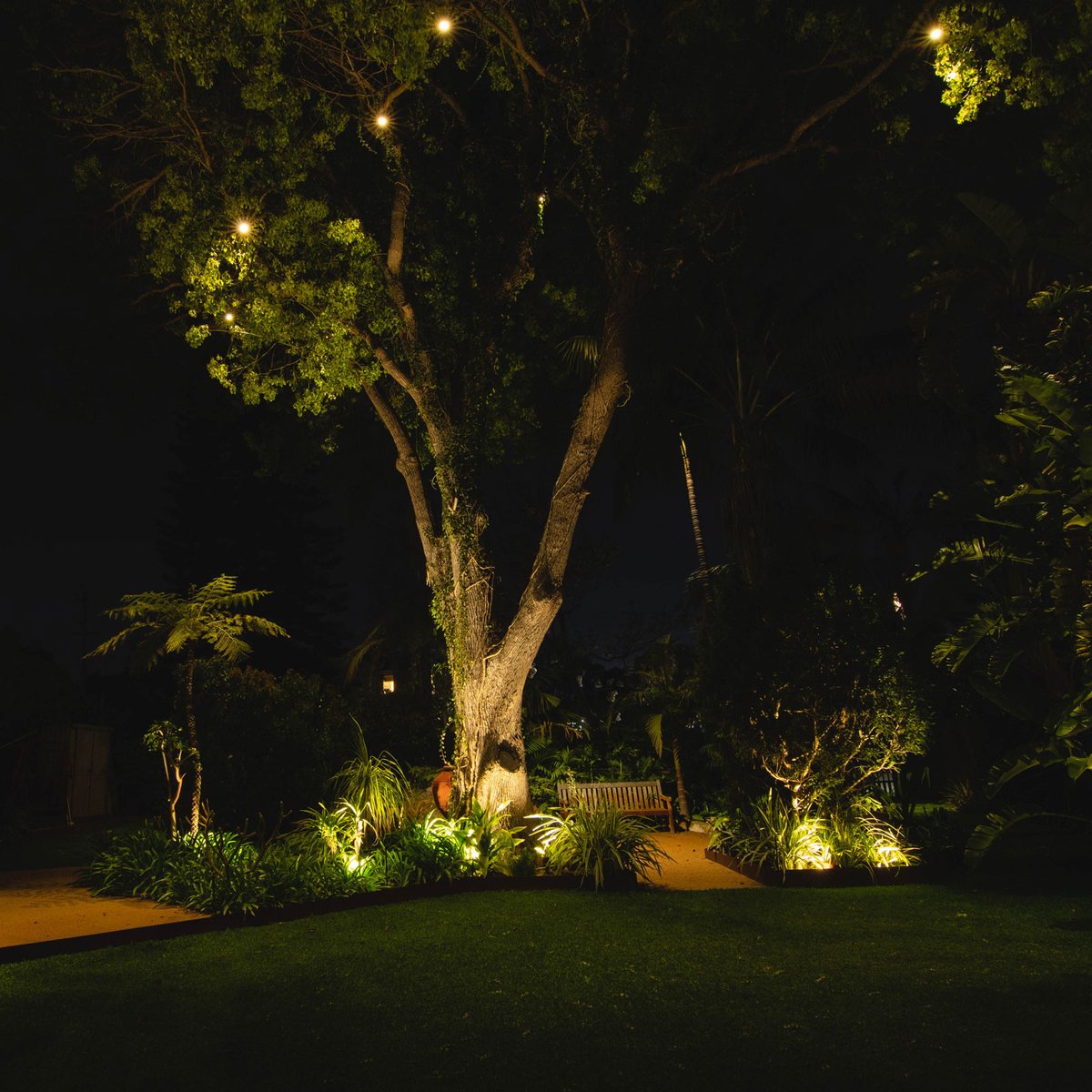 Holman Bluetooth Garden Light Controller - 60W - Durable - Easy Install
