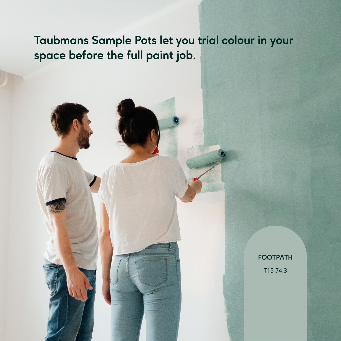 Taubmans Accent Sample Pot - 250ml