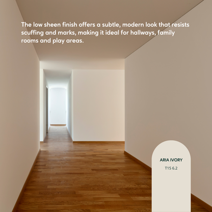 Taubmans Accent Low Sheen Endure Interior Walls Paint - 4L