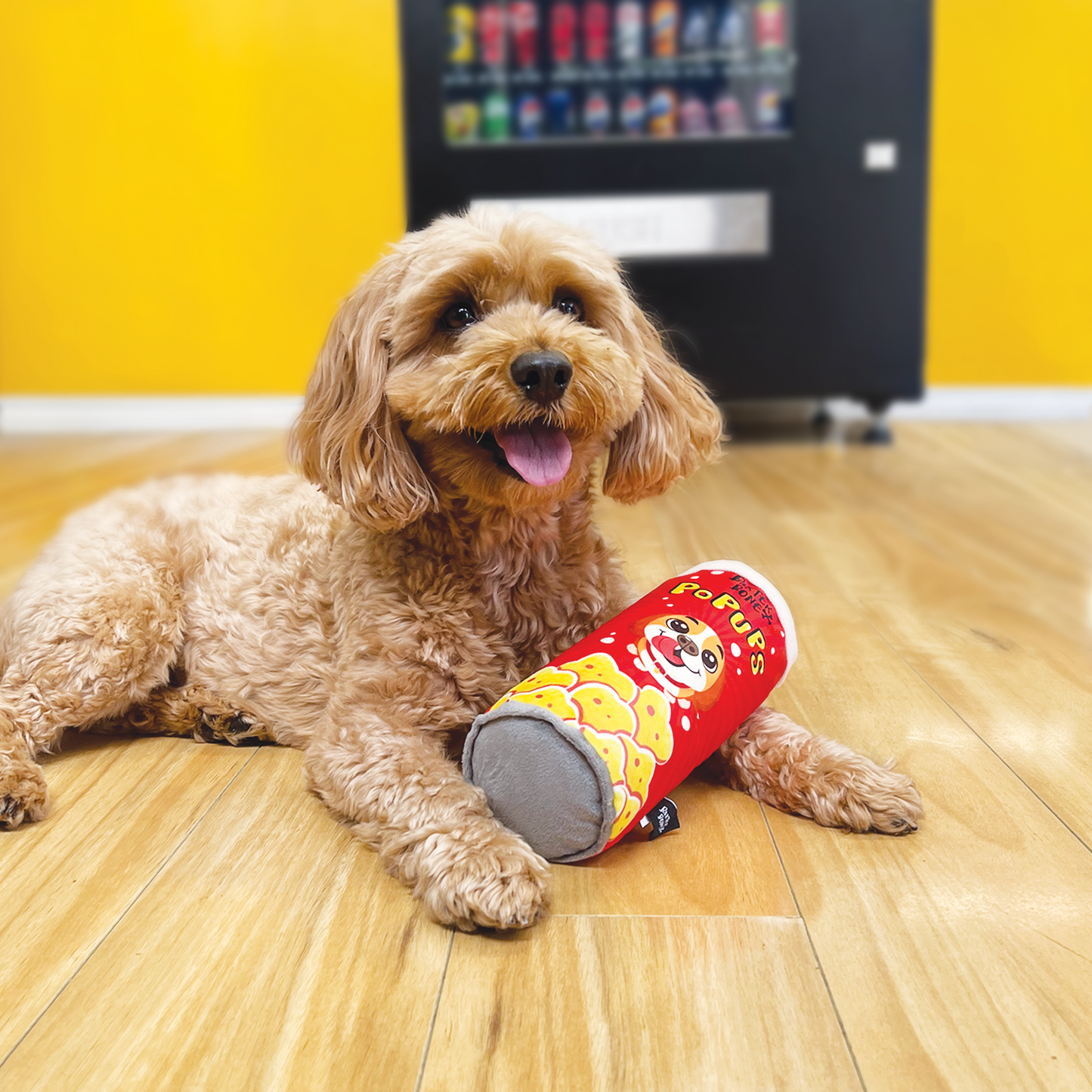 Baxter Bone Pop Ups Chips Can Plush Pet Toy - Red