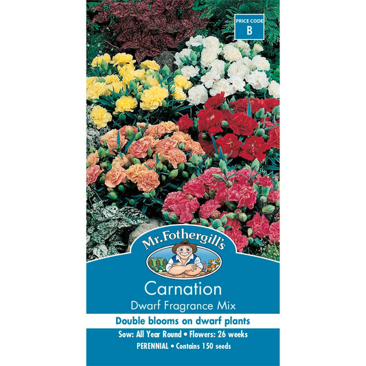 Mr Fothergill Carnation Dwarf Fragrance Mix Seeds