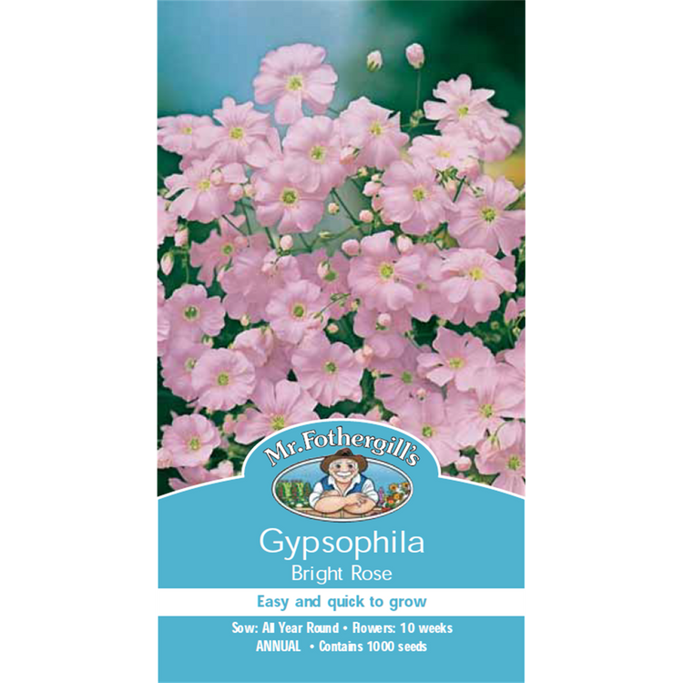 Mr Fothergill Gypsophila Flower Seeds