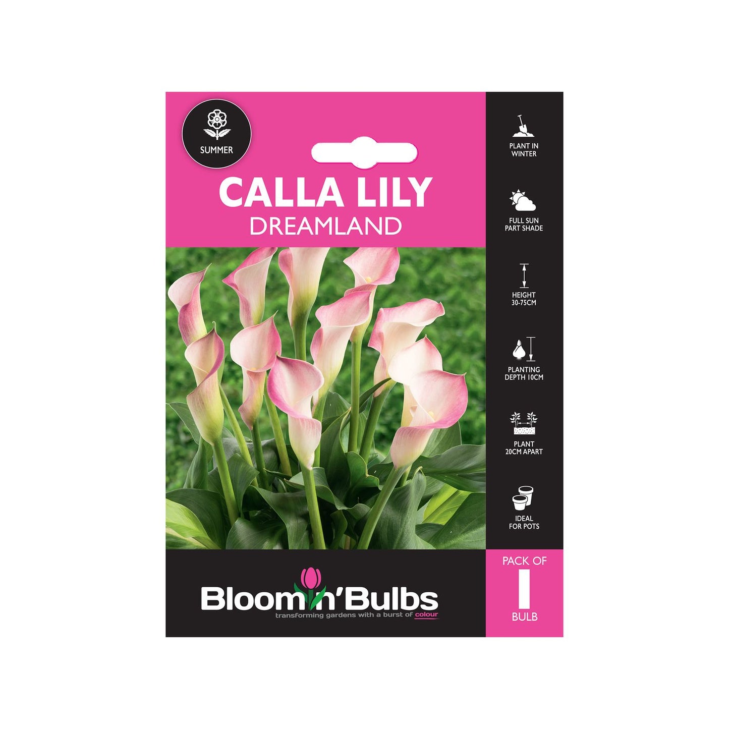 Bloomin Bulbs Summer Pink Calla Lily - 193 x 130 x 60mm