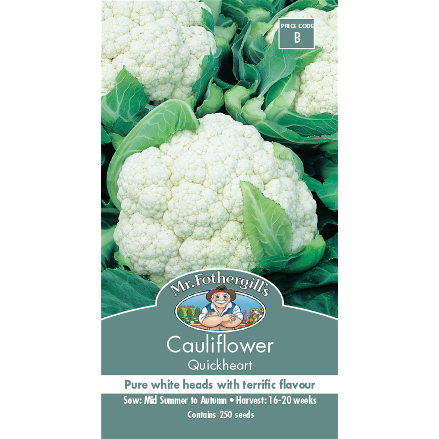 Mr Fothergill Quickheart Cauliflower Seeds