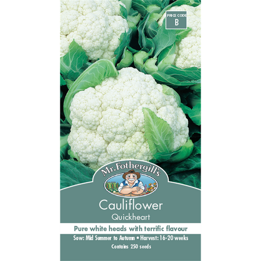 Mr Fothergill Quickheart Cauliflower Seeds