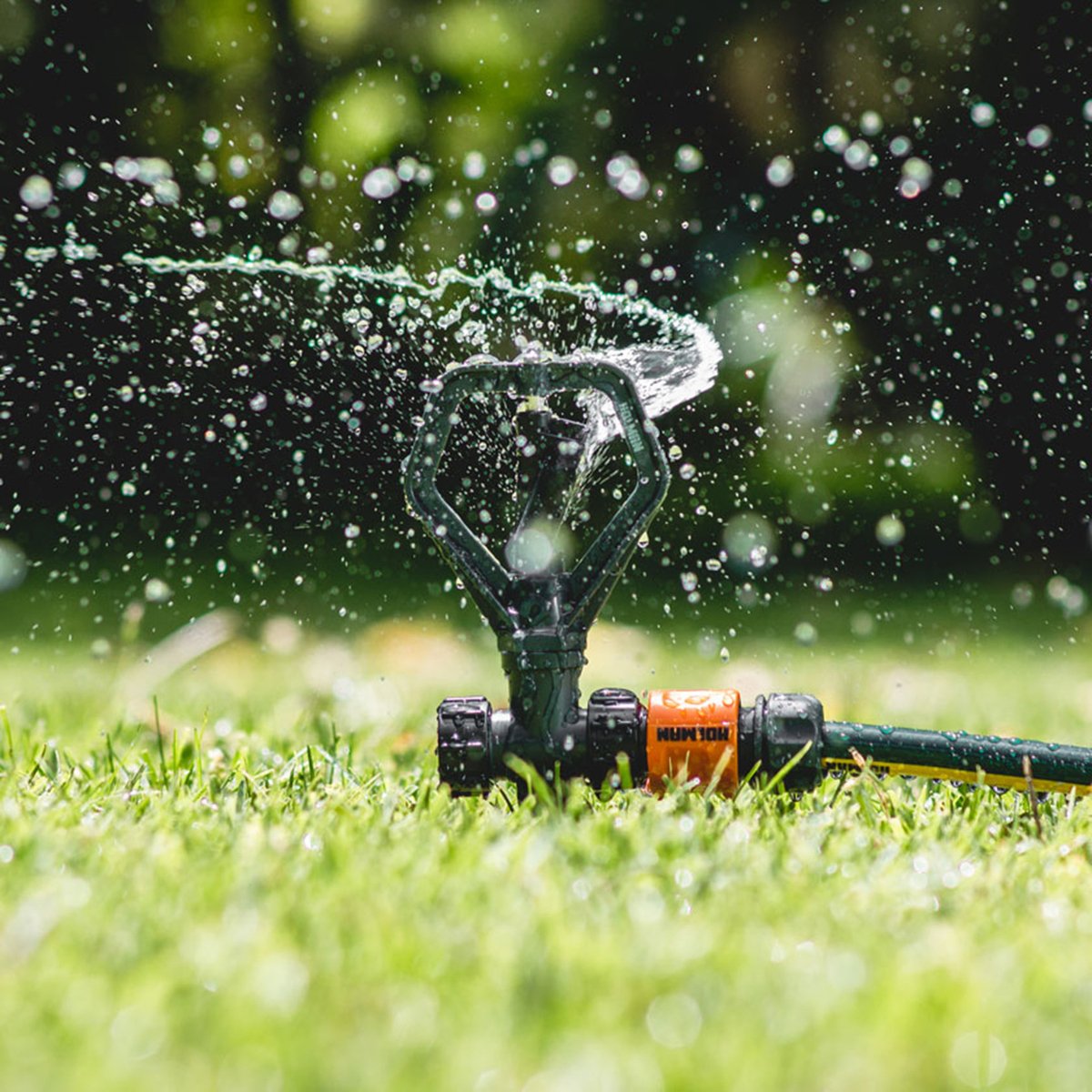 Holman Plastic Butterfly Sprinkler - 4m - Plastic - Garden Use