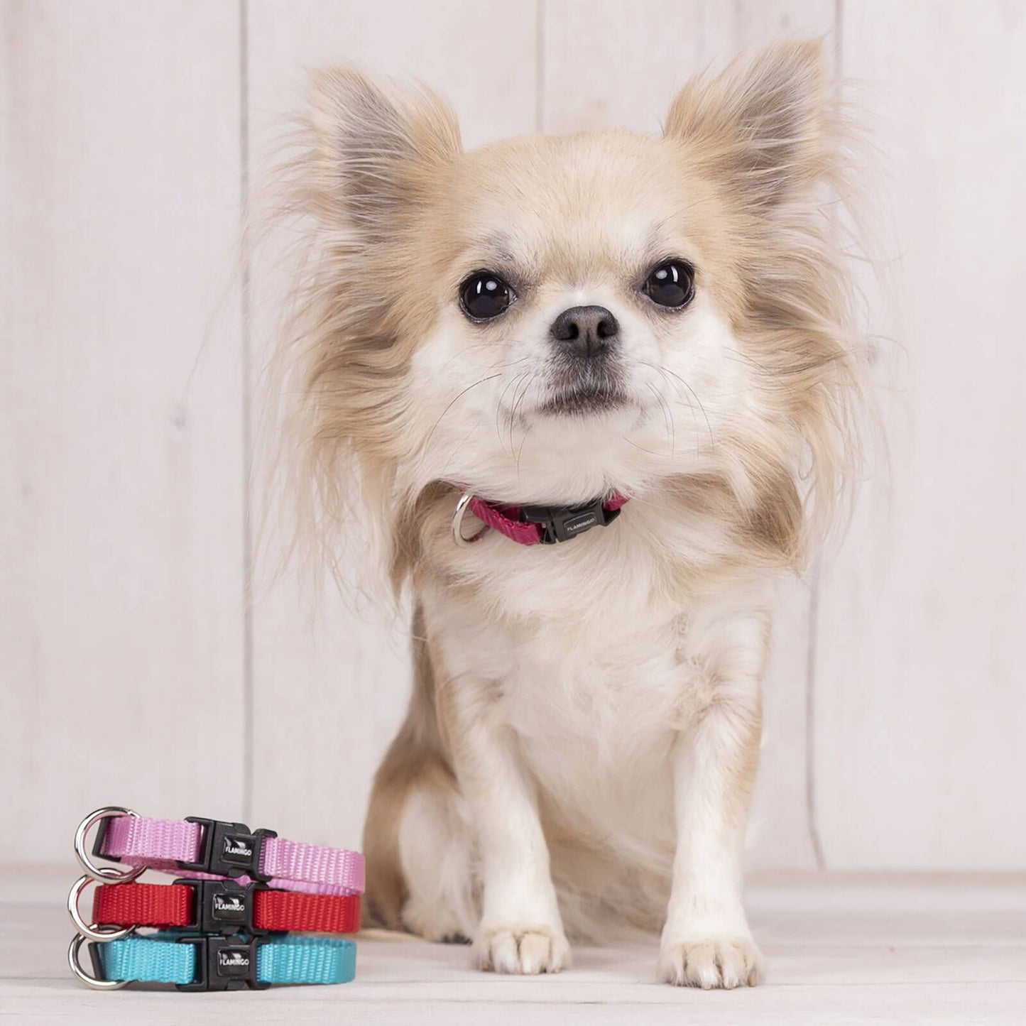 Flamingo Small Red Ziggi Dog Collar - 30-45cm