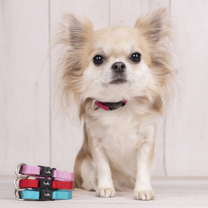 Flamingo Small Red Ziggi Dog Collar - 30-45cm