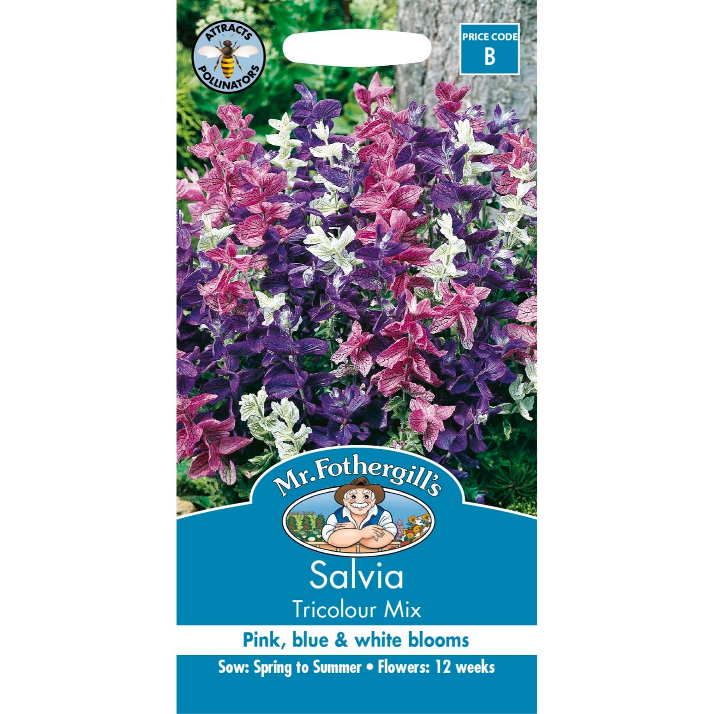 Mr Fothergill Salvia Tricolour Mix Seeds