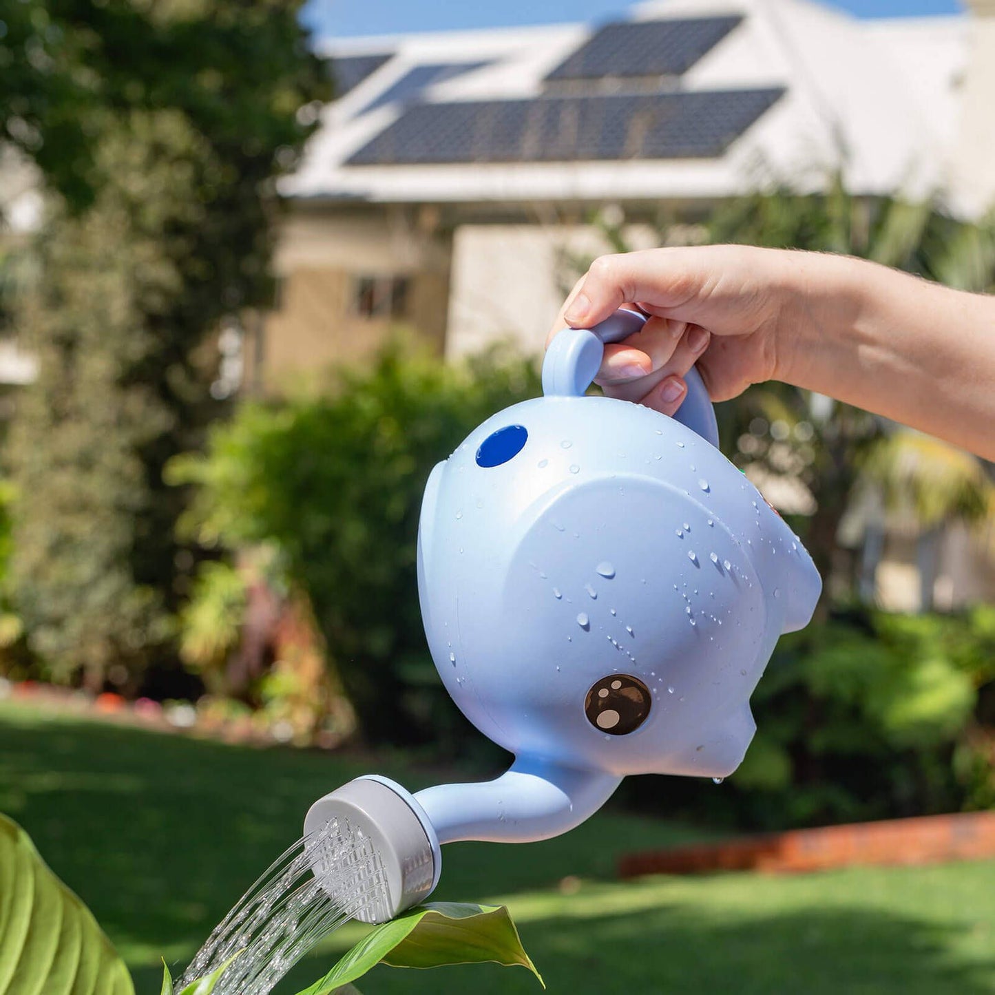 Holman 2.5L Surf Blue Baby Elephant Kids Watering Can
