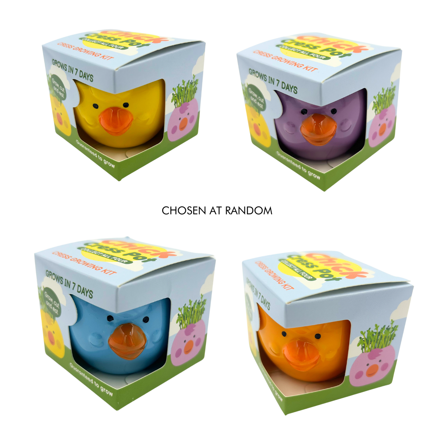 Mr Fothergill's Cress Chick Grow Kit - Assorted