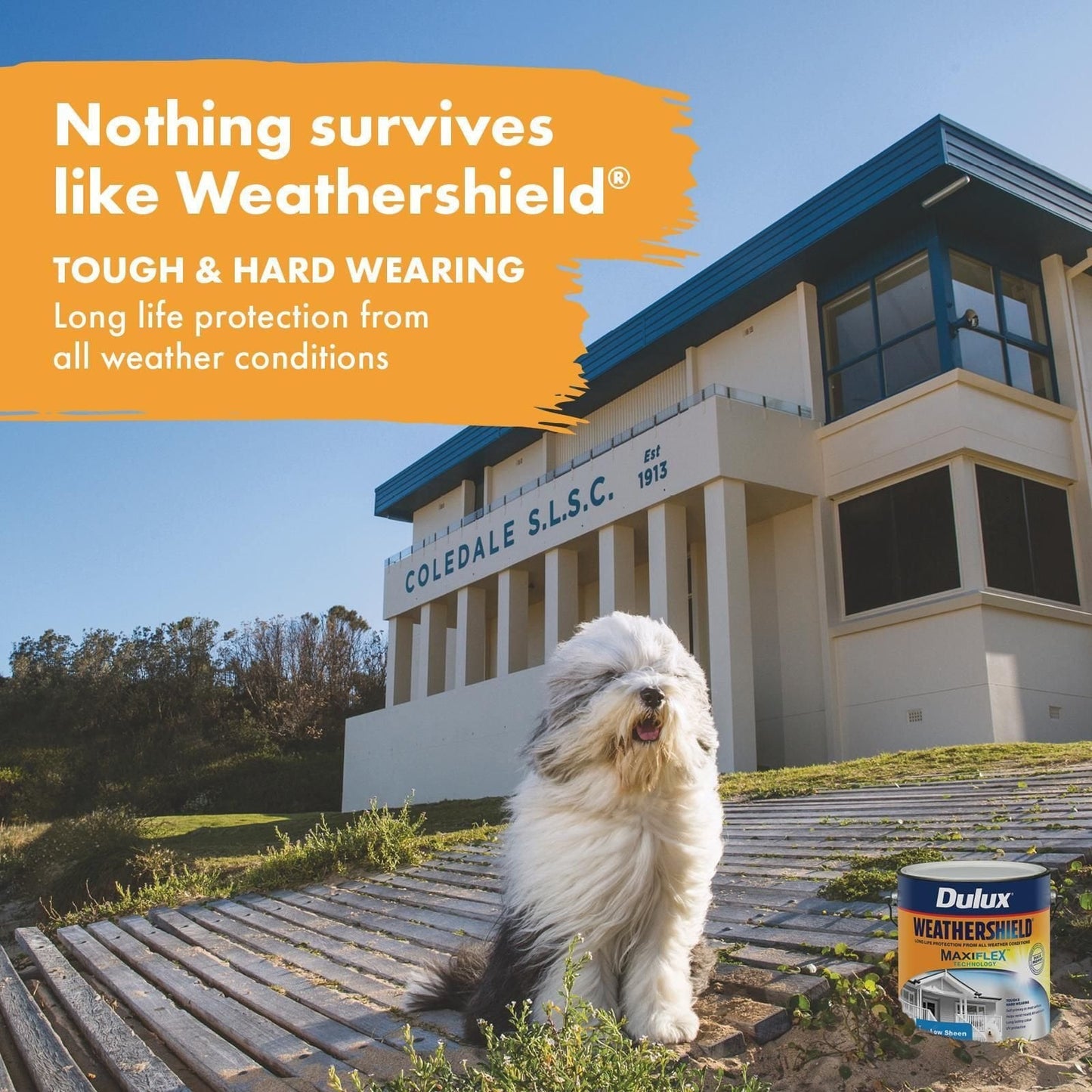 Dulux Weathershield Exterior Paint - 2L - Extra Bright Gloss