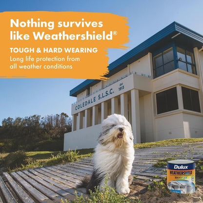 Dulux Weathershield Exterior Paint - 1L - Deep Low Sheen
