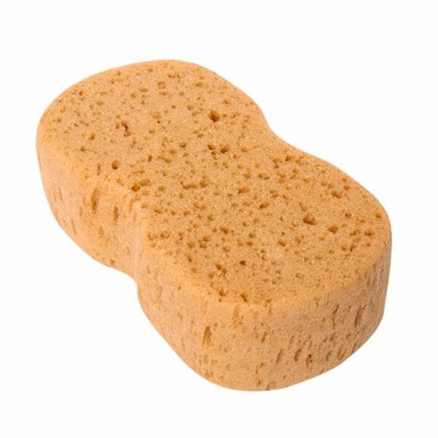 Mr Clean Dirt Buster Car Wash Sponge