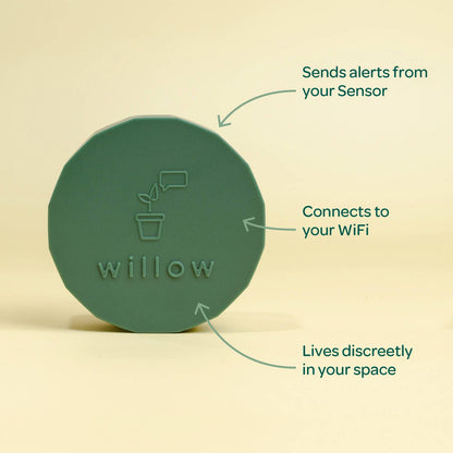 Willow Smart Indoor Plant Sensor Starter Pack - Moss