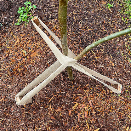 Jack 50mm x 10m Jute Webbing - Natural Plant Tie for Gardening & Crafts