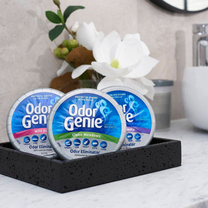Damprid Odor Genie - 226g - Clean Meadow Gel