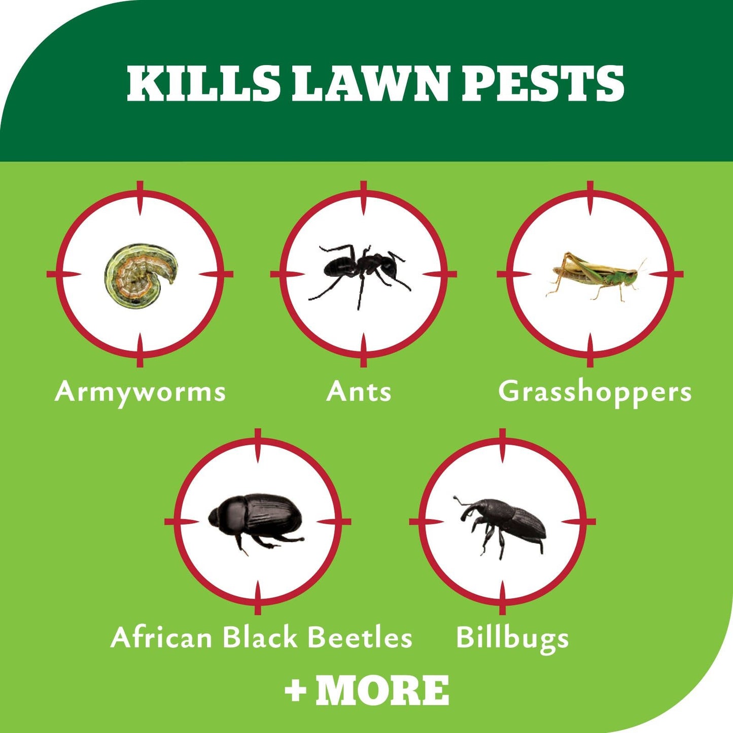 Yates Advanced Lawn Insect Killer - 200ml