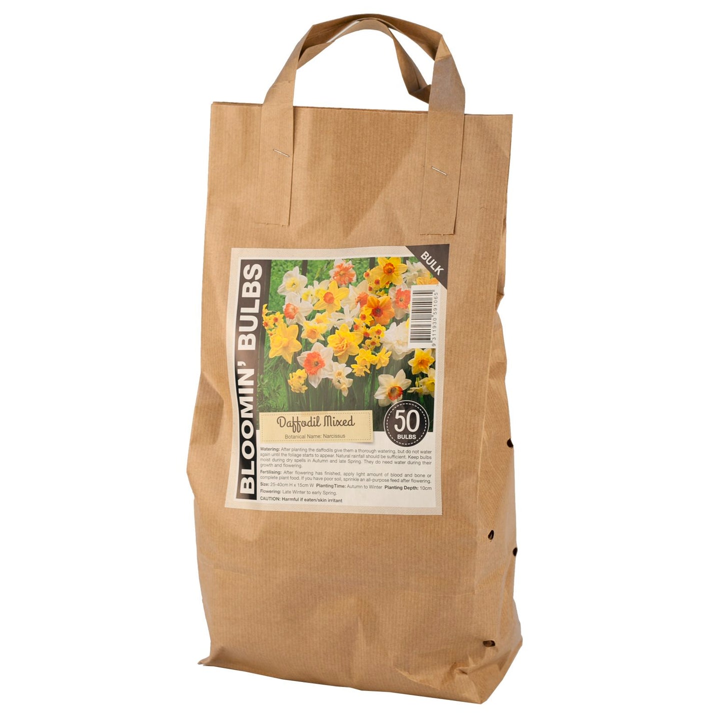 Bloomin Bulbs Daffodil Bulb - 50 Pack
