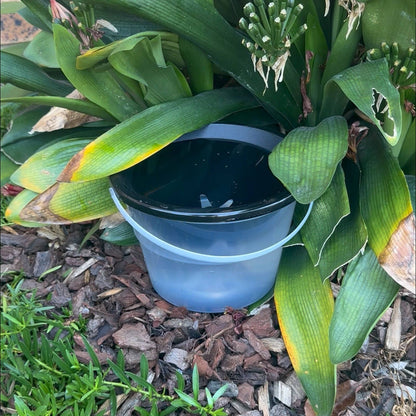 Envirosafe Mosquito Larval Trap