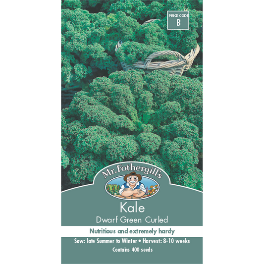Mr Fothergill Dwarf Green Curled Kale Seeds