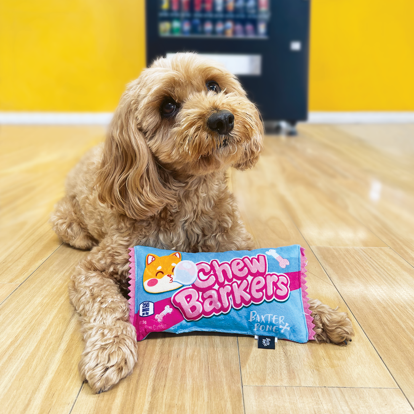 Baxter Bone Chewbarkers Plush Pet Toy