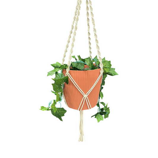 Eden Cotton Macrame Hanger - 120cm - Natural