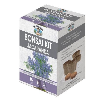 Mr Fothergill Jacaranda Bonsai Kit