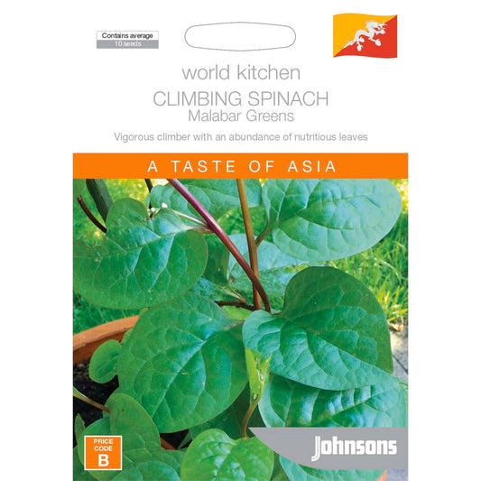 Johnsons Climbing Spinach - 30cm