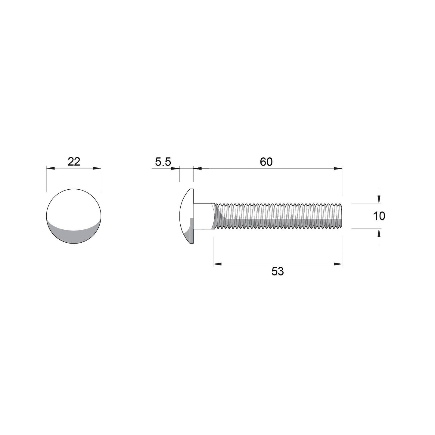 Zenith Stainless Steel 304 Cup Head Bolts - M10 x 60mm - 12 Pack