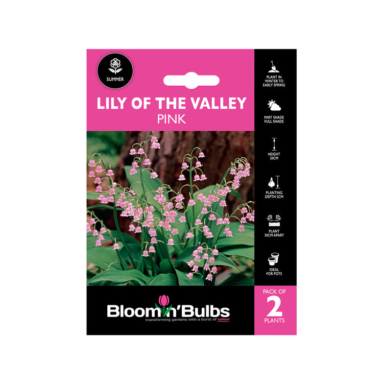 Bloomin Bulbs Lily of the Valley Pink 2 Pack