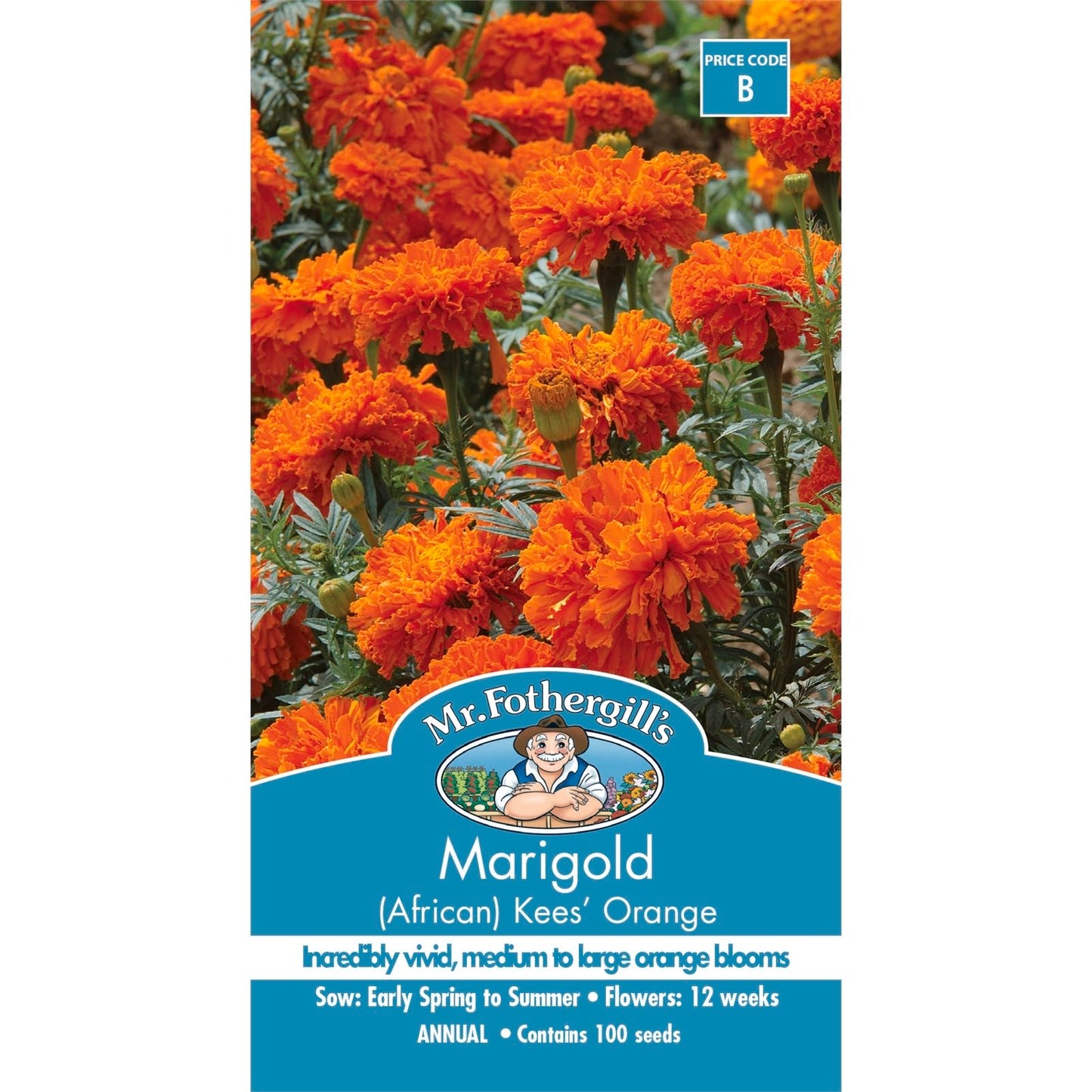 Mr Fothergill Marigold African Kees Orange Seeds