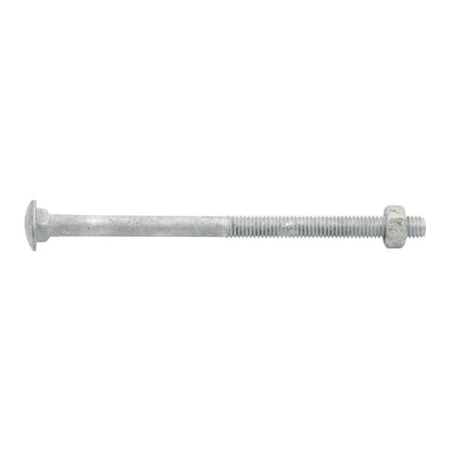 Zenith Hot Dip Galvanised Cup Head Bolts & Nuts - M6 x 100mm - 25 Pack