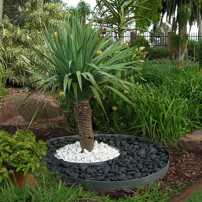 Jack Bright White Decorative Pebble 35-50mm Garden Edging Mulch