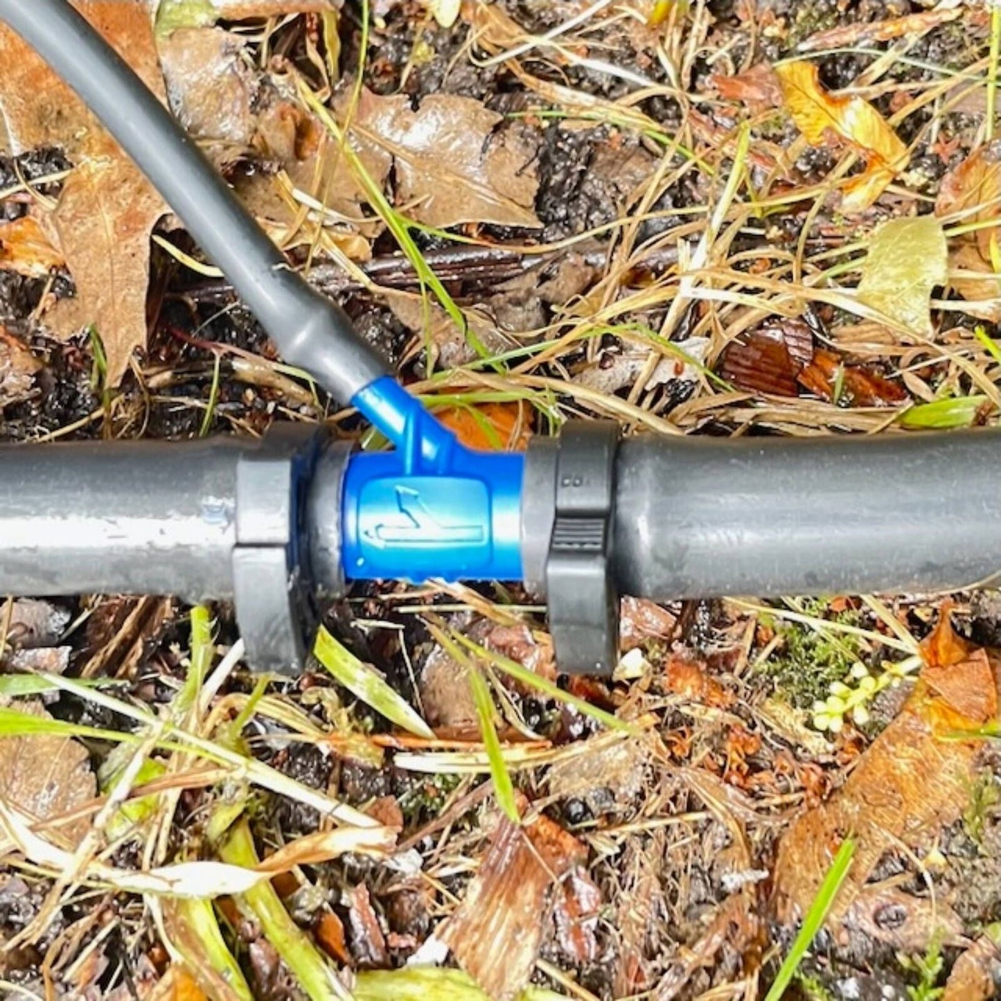Ladco 13mm x 4mm Poly Irrigation Y Branch