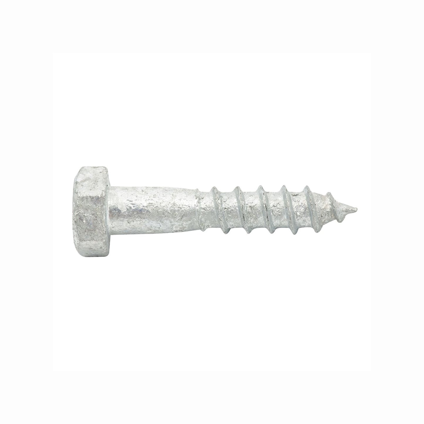 Zenith M8 x 40mm - Hot Dipped Galvanised Coach Screw
