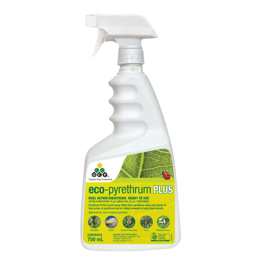 Ocp Eco Pyrethrum Plus Insecticide - 750ml
