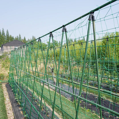 Jack Trellis Netting - 1.8 x 2.7m - Green