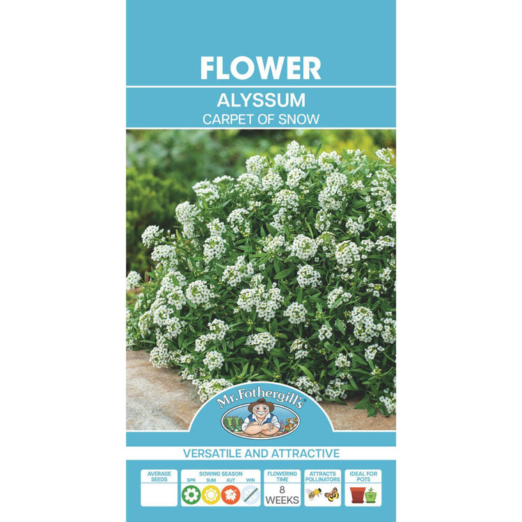 Mr Fothergill Alyssum Carpet of Snow Seeds