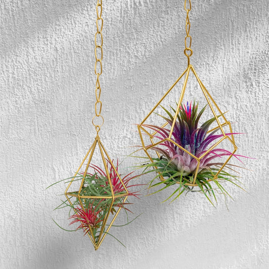 Jack Gold Geo Hanging Planter - 10.5 x 13.5cm