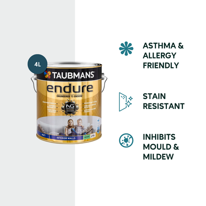 Taubmans Accent Matt Endure Interior Walls Paint - 4L