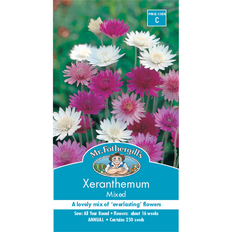 Mr Fothergill Xeranthemum Flower Seed