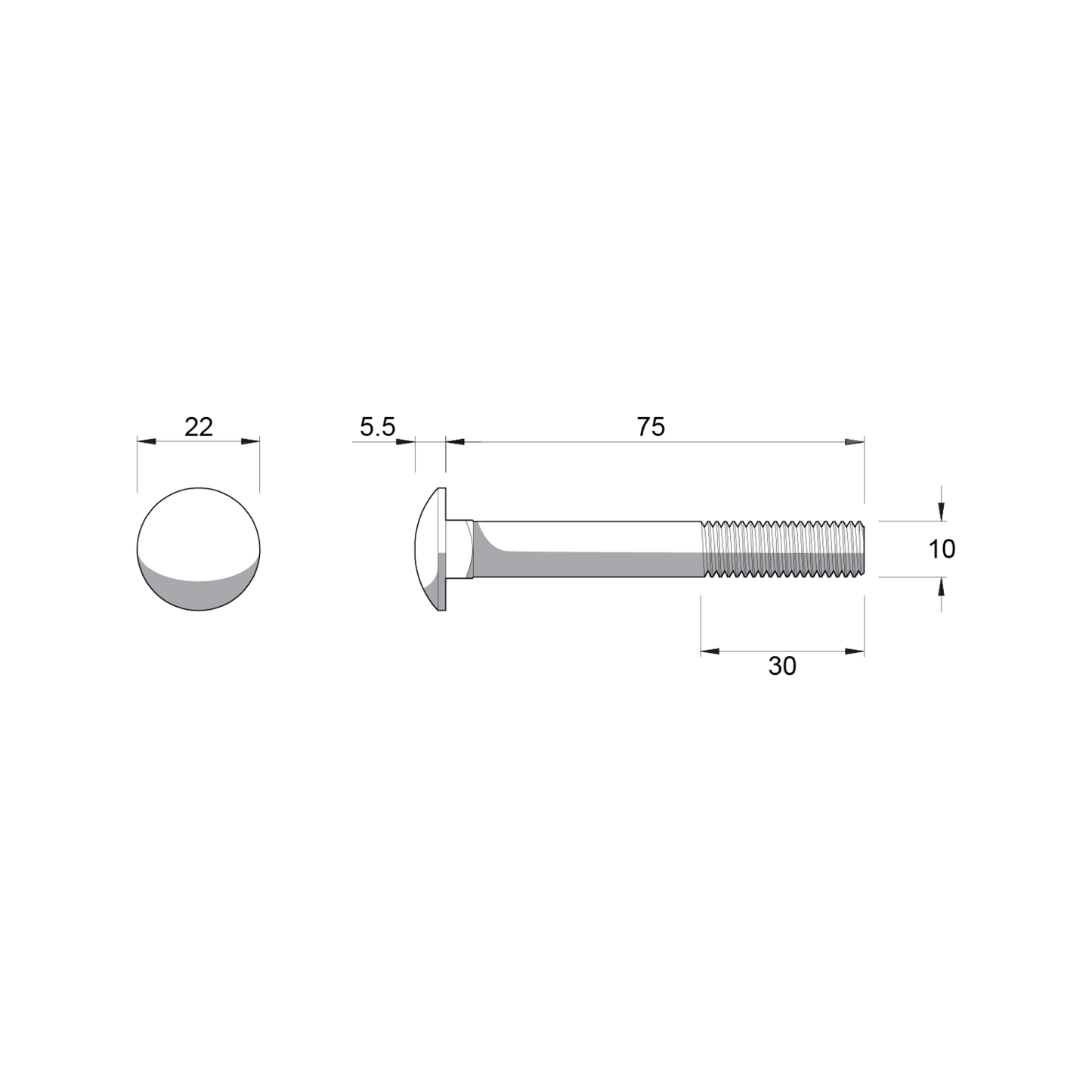 Zenith Cup Head Bolt - M10 x 75mm - Hot Dipped Galvanised
