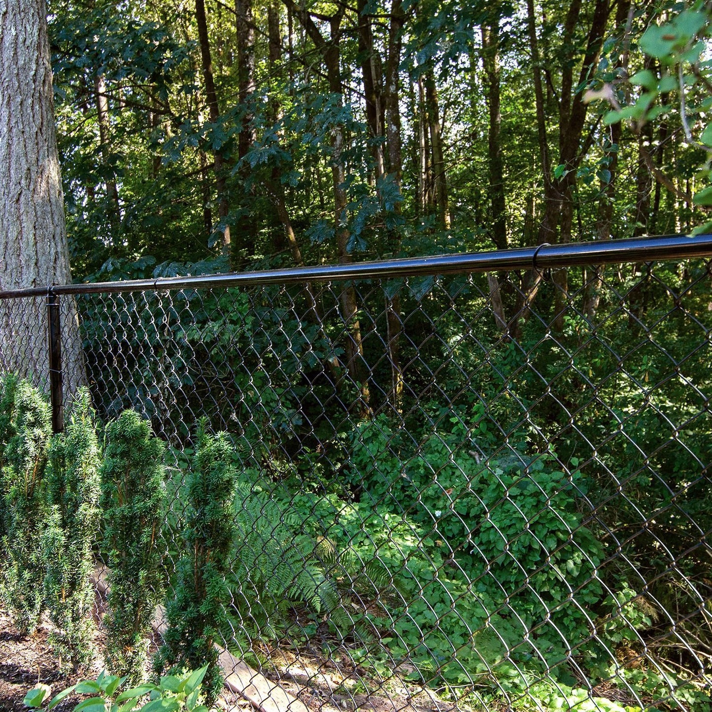 Peak Chain Link Fencing Rail End Assembly - 32mm - Black