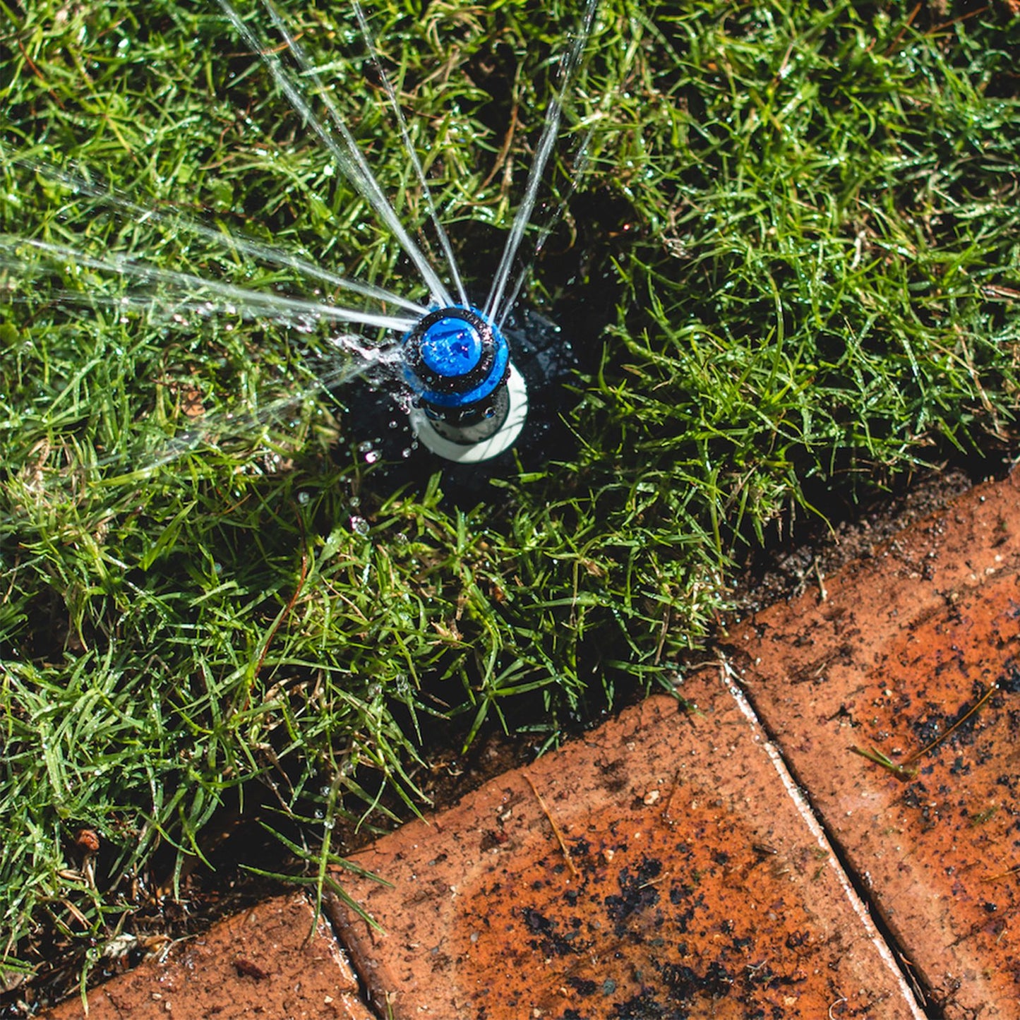 K Rain Popup Sprinkler - 80mm