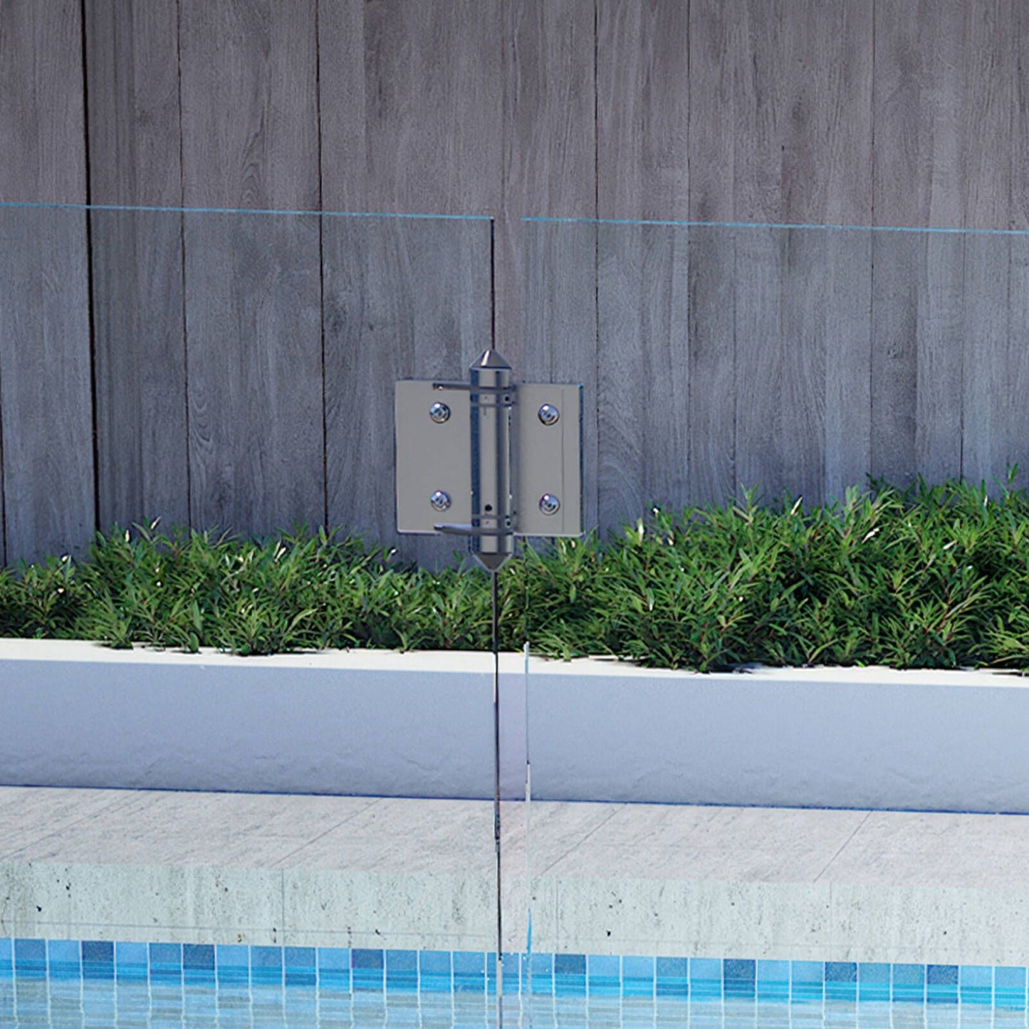 Protectoral Glass to Glass Hinge Set - 50mm