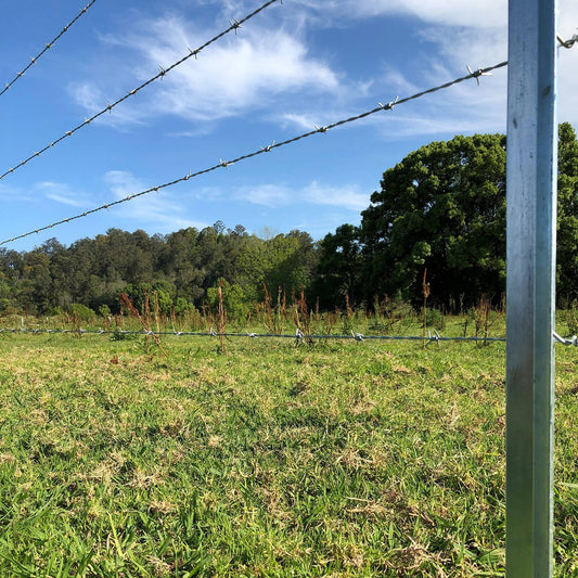 Jack 1.57mm x 100m Barbed Wire