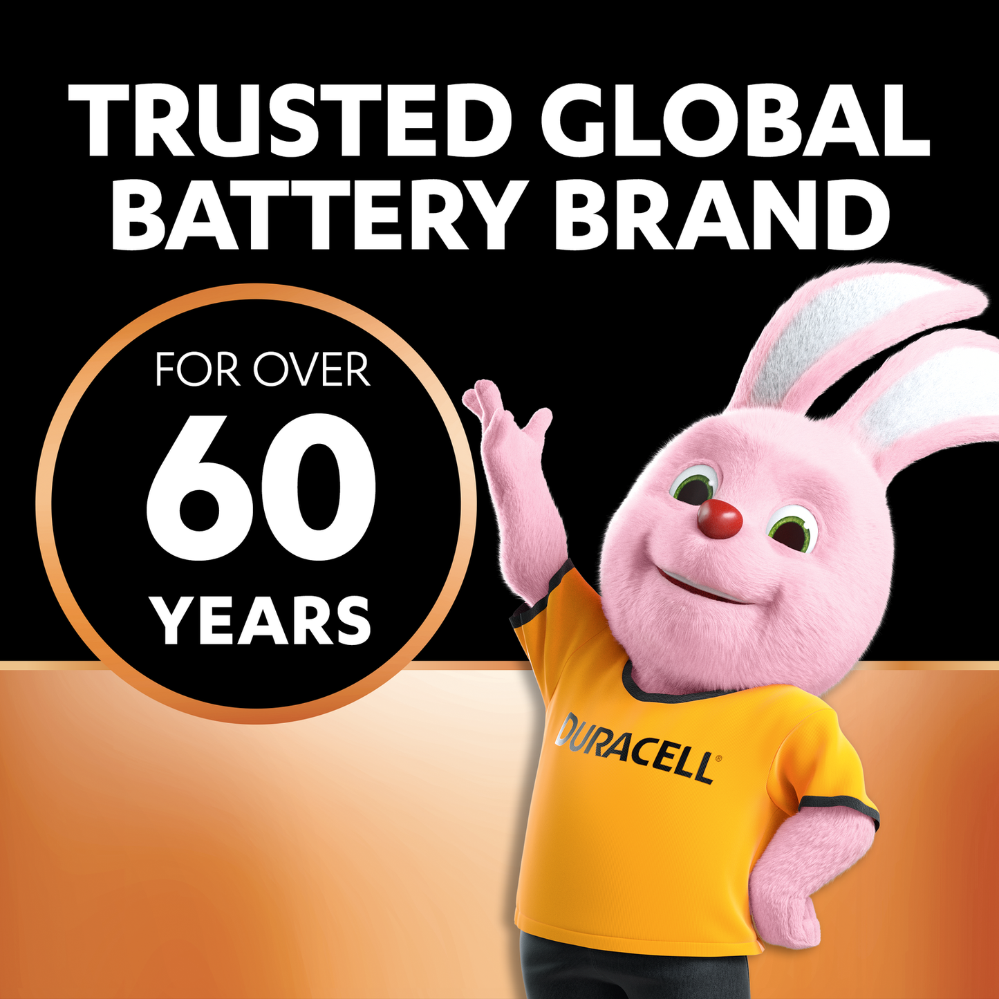 Duracell Coppertop AAA Batteries - 24 Pack