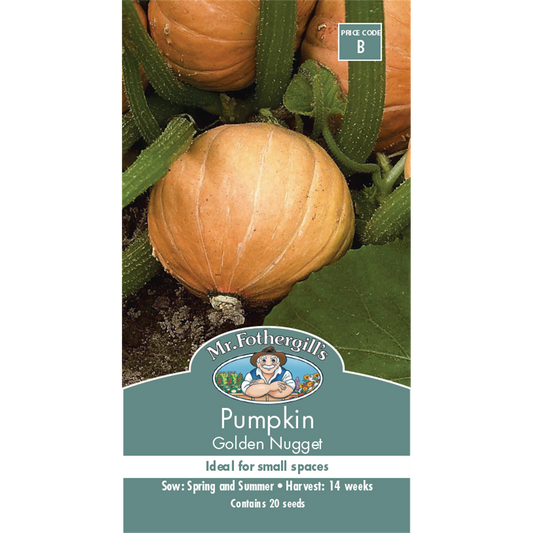 Mr Fothergill Golden Nugget Pumpkin Seeds